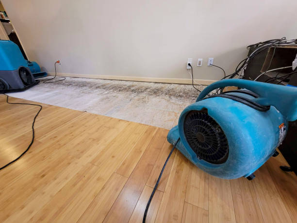 Professional Burst Pipe Water Damage technician working in Bedford, VA